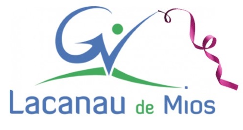 logo-gv.png