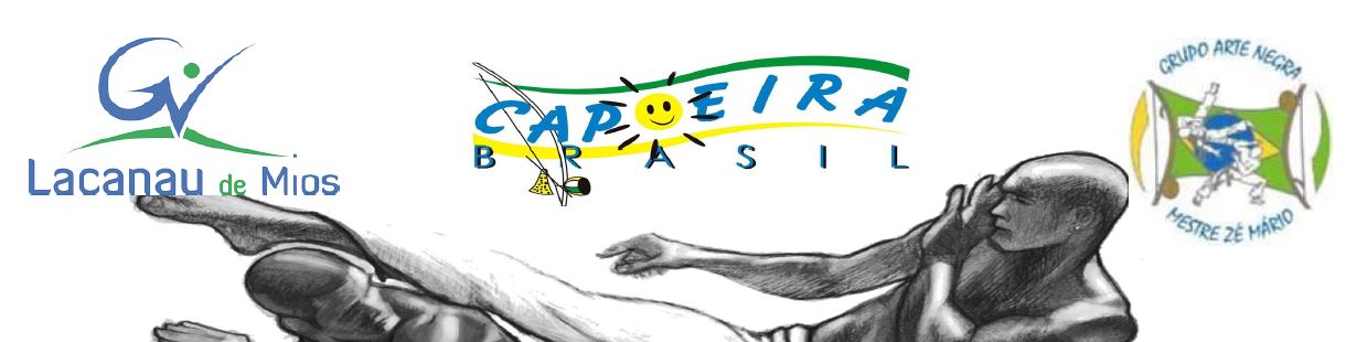 Logo stage capoeira long